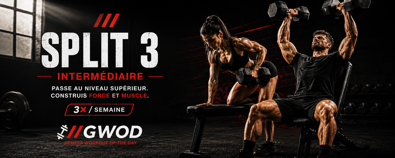 Femme effectuant un rowing avec haltère, appuyée sur un banc, et homme réalisant un développé incliné avec deux haltères, programme Split 3 intermédiaire GWOD.